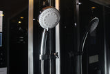 Platinum DZ961L Black Walk-In Steam Shower