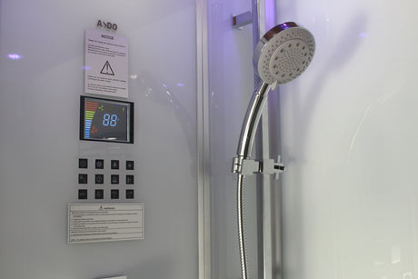 Platinum DZ961L White Walk-In Steam Shower